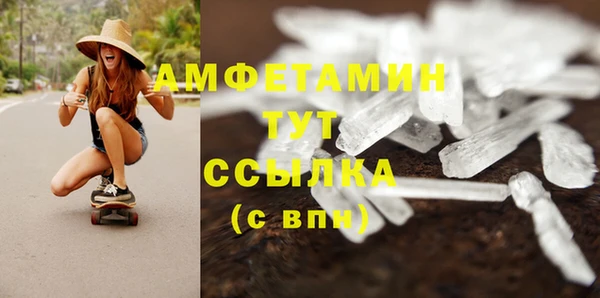 PSILOCYBIN Балахна