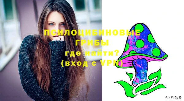 PSILOCYBIN Балахна
