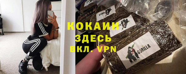 PSILOCYBIN Балахна
