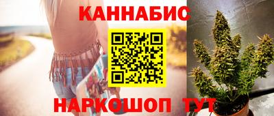 гидра Краснознаменск