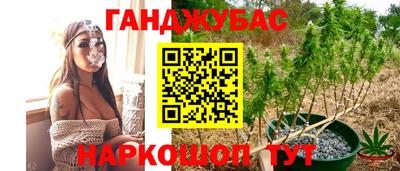 гидра Краснознаменск