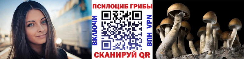 Псилоцибиновые грибы Magic Shrooms  продажа наркотиков  Каспийск 