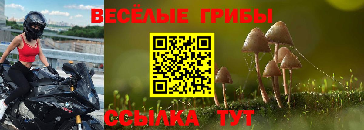 Псилоцибиновые грибы Cubensis  Вход с VPN  Галлюциногенные грибы Psilocybine cubensis  Каспийск 