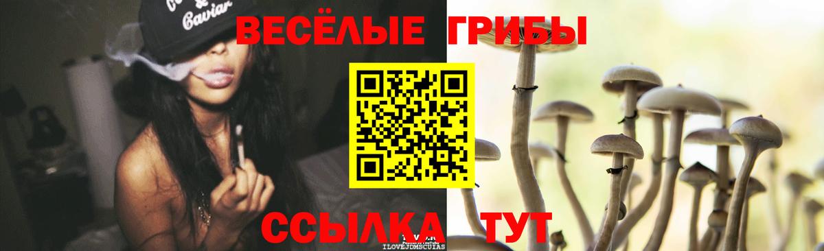 Галлюциногенные грибы прущие грибы Каспийск